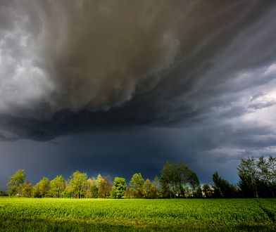 Przed nami długi weekend. Nie wszyscy będą grillować