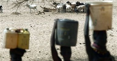 8 milionów Afrykańczyków może umrzeć z powodu suszy