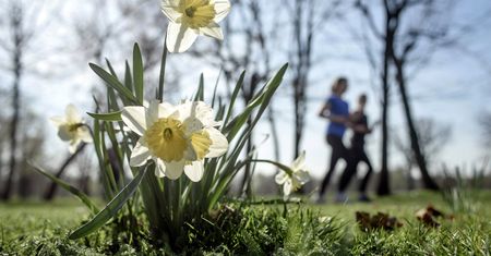 Bardzo ciepły weekend! Wiemy, gdzie będzie nawet +16 st. C
