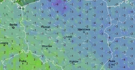 Alert pogodowy. Ostrzeżenia IMGW: gęsta mgła i gołoledź