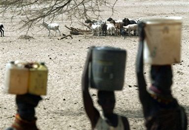 Zbieram wodę - akcja Polskiej Akcji Humanitarnej