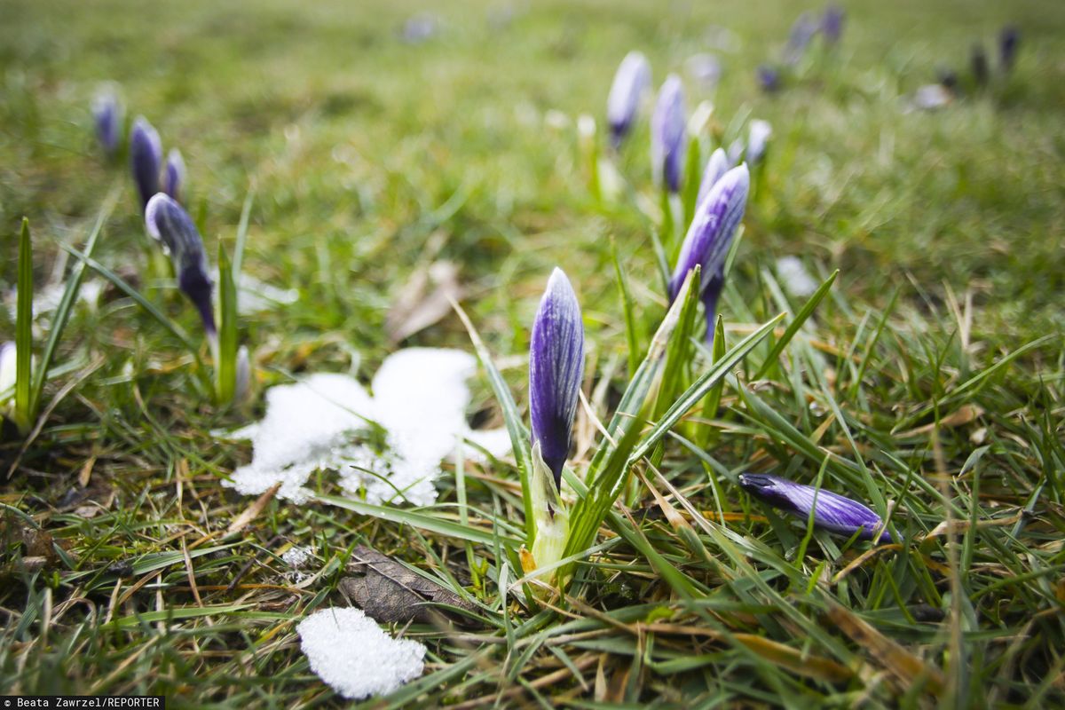 Przed nami ostatnie tchnienie zimy. Od weekendu wzrost temperatury i powrót termicznego przedwiośnia