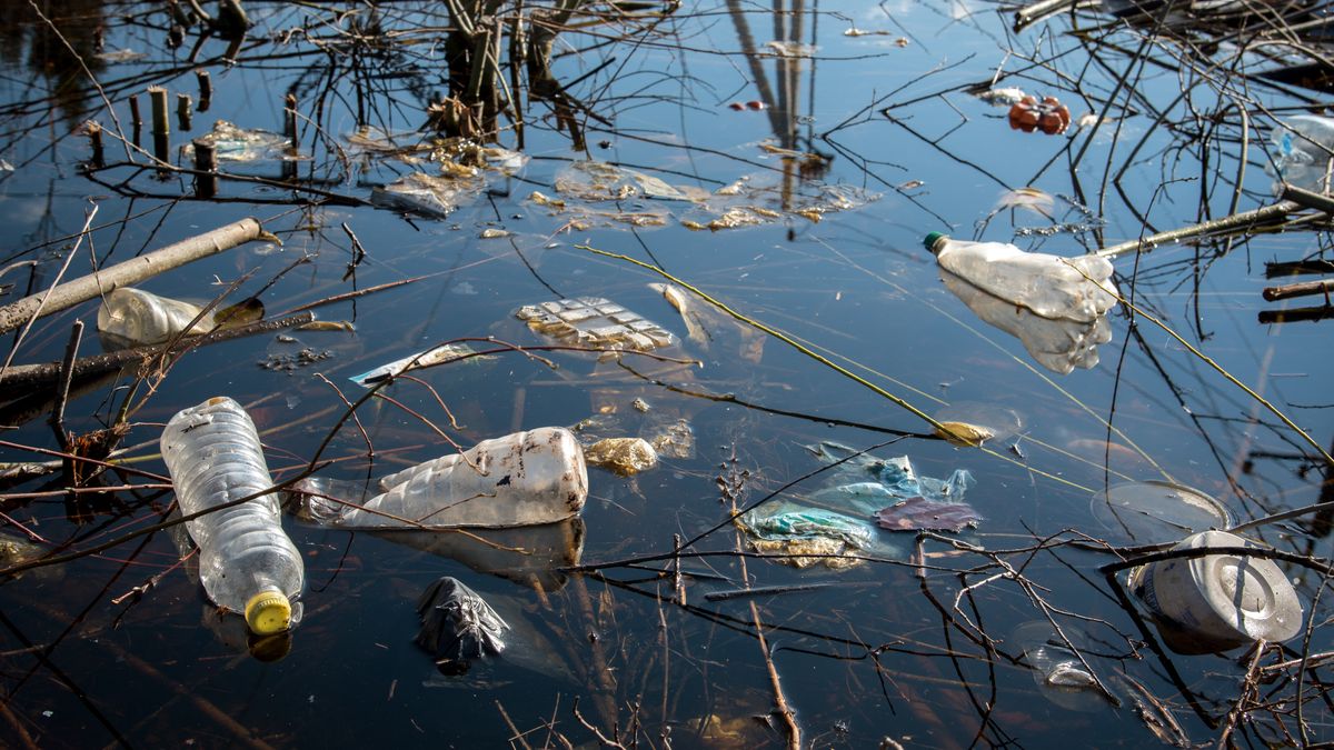 Odpady pochodzą głównie z firm w Brandenburgii