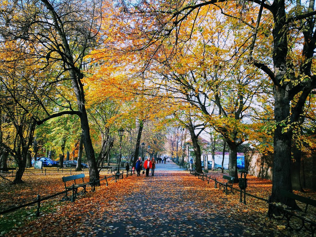 Pogoda na dziś. Słonecznie, ale chłodno. Jaka prognoza na weekend? Sprawdź