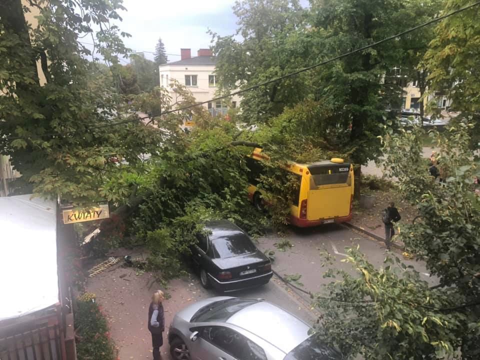 Pogoda. Połamane drzewa i zniszczone samochody. Nawałnica przeszła przez Mazowsze