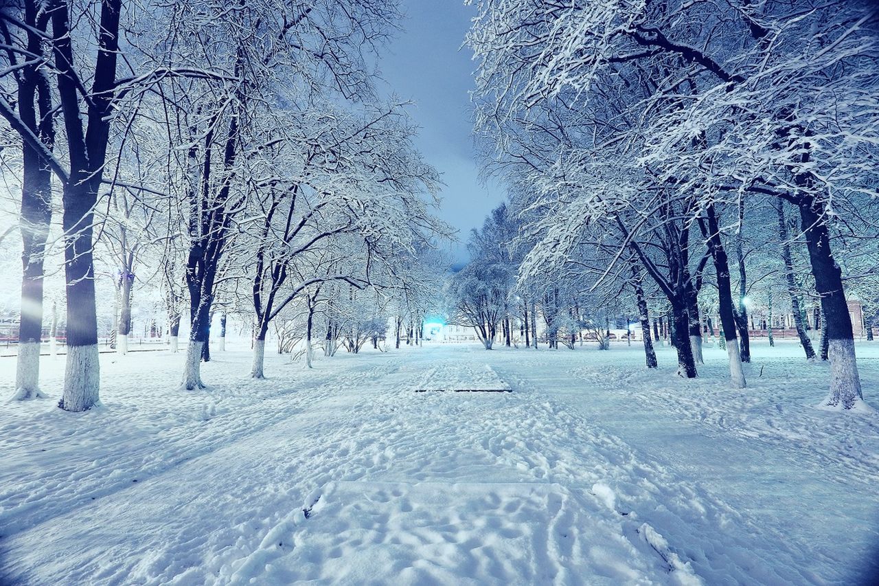 Pogoda w Polsce. Chińscy meteorolodzy przewidują mroźną i śnieżną zimę