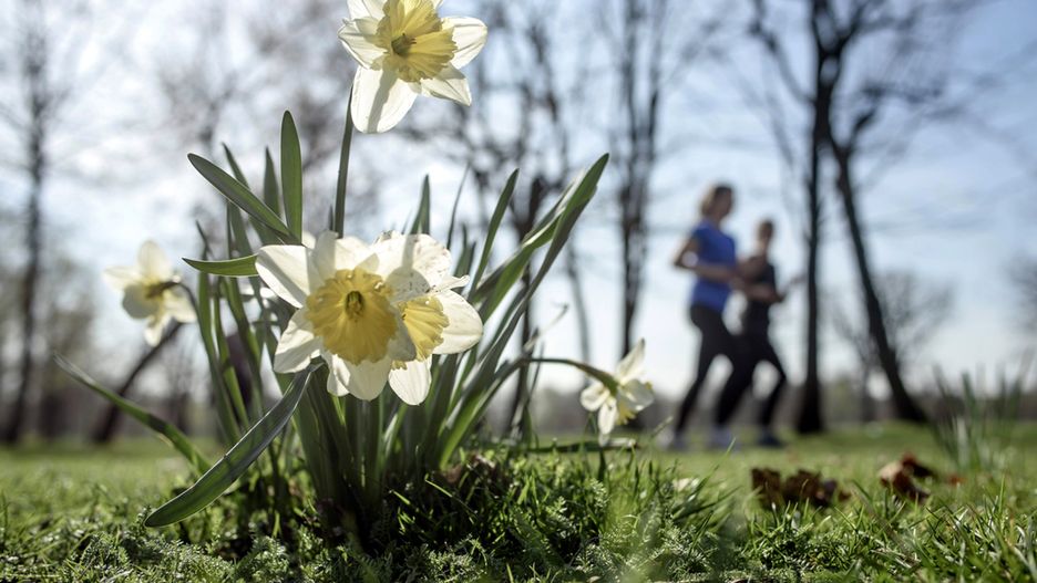 Wysokie temperatury spowodują roztopy. Może być niebezpiecznie