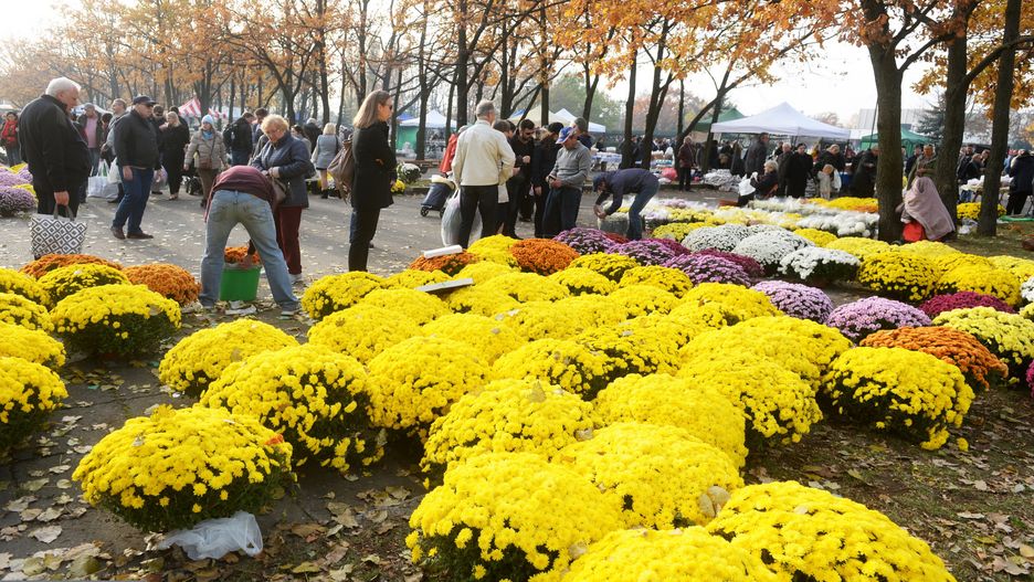 1 listopada. Pogoda na Wszystkich Świętych. Zapowiada się pogodnie i ciepło