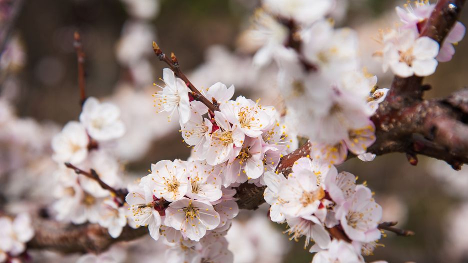 Prognoza pogody na dziś - poniedziałek 1 kwietnia.
