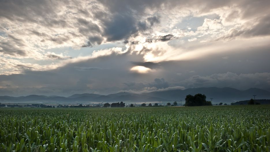 Pogoda na dziś - 16 lutego. Sprawdź, jaka pogoda będzie w największych miastach Polski