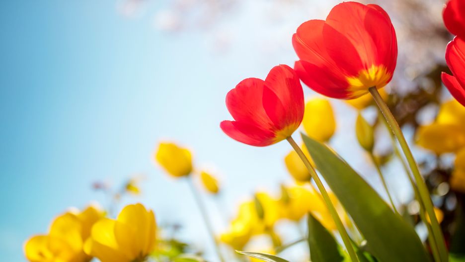 Prognoza pogody na dziś - poniedziałek 18 marca. Jaka będzie dziś pogoda w Warszawie, Krakowie, Wrocławiu i Gdańsku?