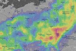 Pogoda. IMGW ostrzega 14 województw przed upałem. Alert przed burzą dla 7 regionów