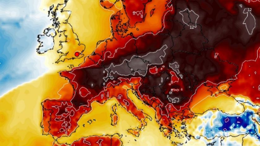 Pogoda wariuje. Wysokie temperatury w środku zimy