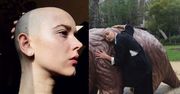 Wielu sądziło, że to żart! Nowe zdjęcia łysej Brodki