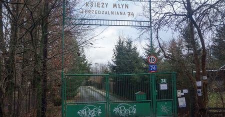 Działkowcy mają prawo przebywać w ogródkach działkowych - przypomina reprezentująca ich organizacja