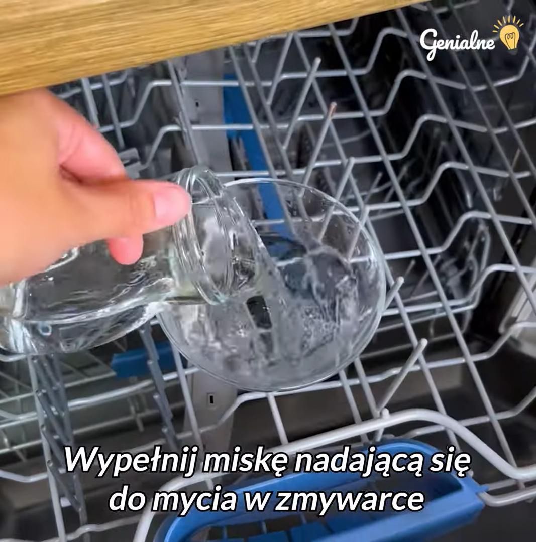 Jak wyczyścić zmywarkę w środku? Fot. genialne.pl