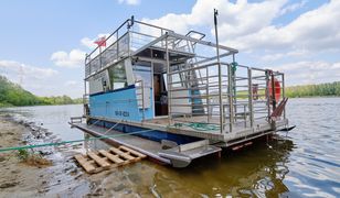 Warszawa. Śnięte ryby w Wiśle. "Wczoraj jeszcze pływały"