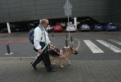 Nie wpuścił niewidomych do busa. Kierowca stracił pracę. Poszkodowani chcą, by przyjęto go ponownie