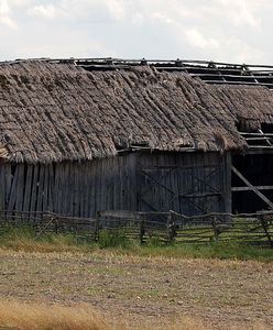 Odkryto masowy grób niemieckich żołnierzy w woj. zachodniopomorskim. "Kości są nadpalone"