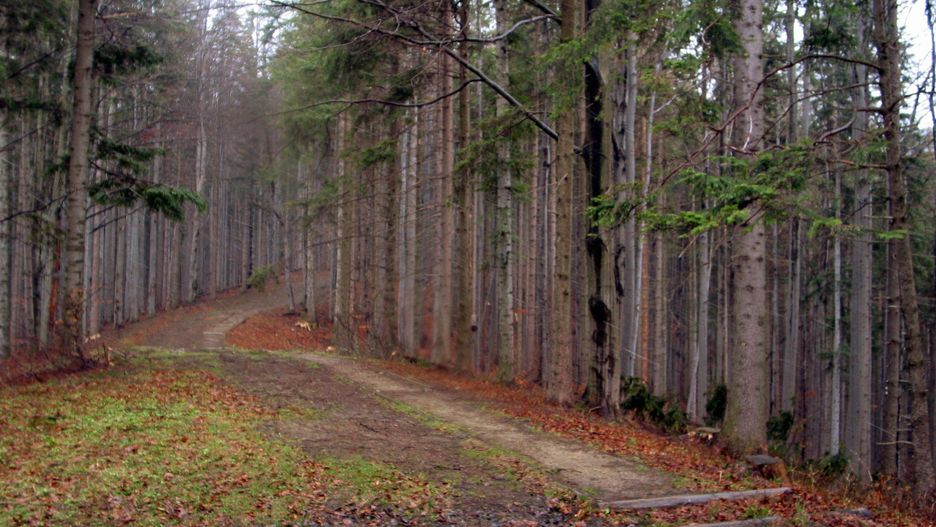 Józef K. obniżył koszty, ale nie w dokumentach