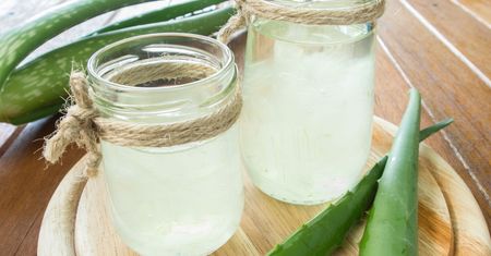 Aloes. Właściwości zielonego żelu