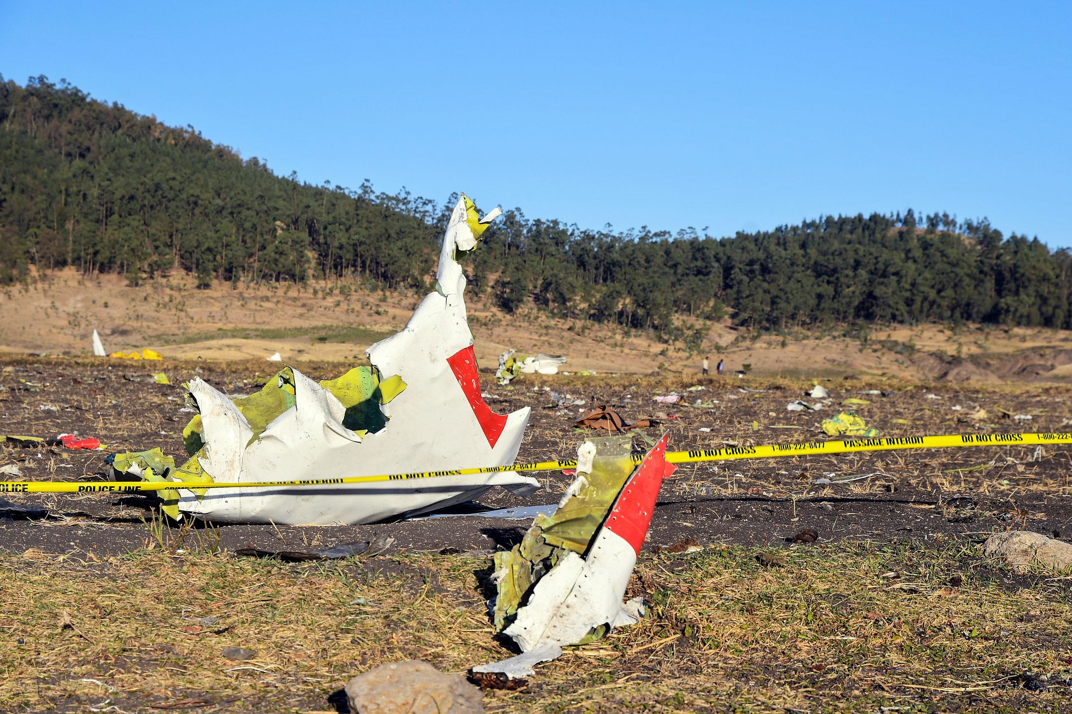 Rozbity samolot należał do linii Ethiopian Airlines