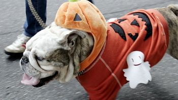 Przebierają się wszyscy