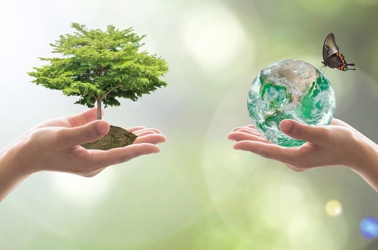 Czy jesteś eko? Rozwiąż quiz