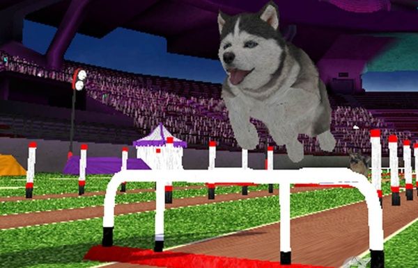 Szykujcie się: 10x Dogz na Natala i tylko 5x na różdżki Sony