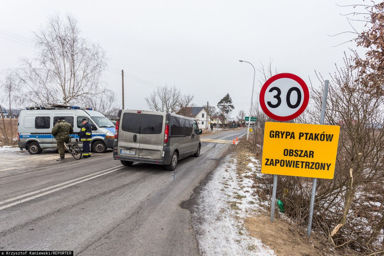 Kolejne ognisko ptasiej grypy. Do tej pory padło ok. 40 tys. ptaków