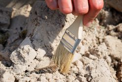 Szwecja: dziecko odnalazło miecz sprzed 1500 lat