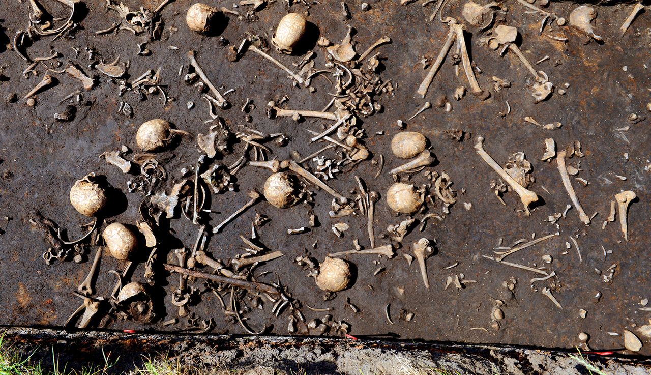 Cztery tysiące chłopa rąbało się i tłukło maczugami. Tak wyglądała bitwa w epoce brązu