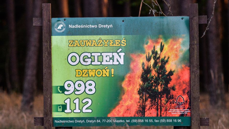Z pożarem nie ma żartów, zwłaszcza w polskich lasach