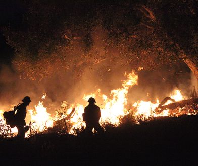 "Podpalał co popadnie". Policja zatrzymała groźnego piromana