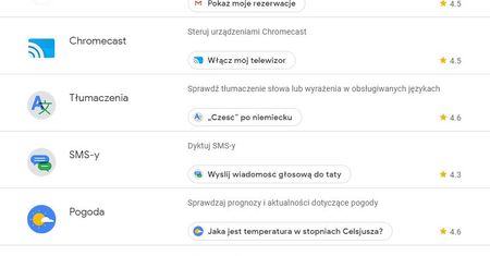 Asystent Google w Polsce. Zobacz pełną listę zewnętrznych aplikacji oraz usług