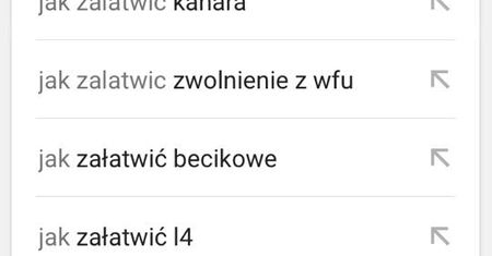 Jakie pytania z serii "jak to zrobić" zadajemy Google najczęściej w Polsce? Technologiczny gigant opublikował zaskakujący raport
