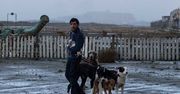 Najlepsze filmy z psami 2018