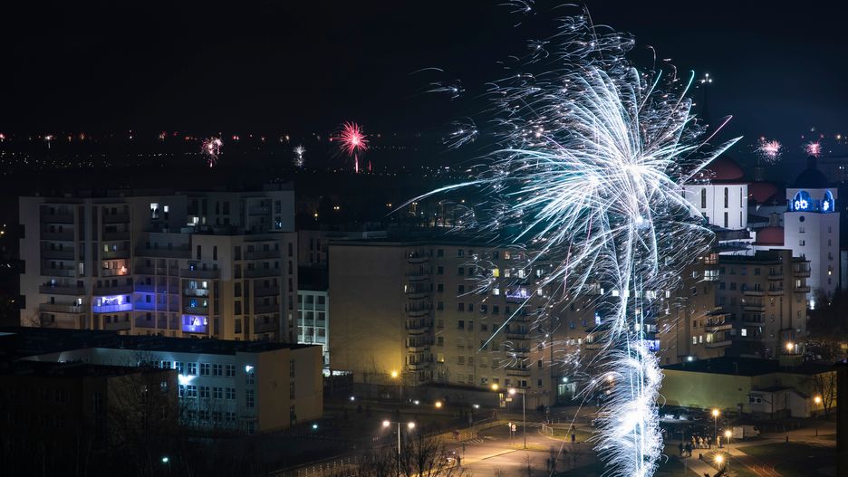 Sylwester to ciężki czas dla czworonogów 