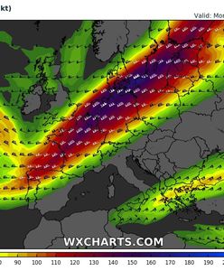 Pogoda jak wiosną. Nawet 15 st. C! Są jednak ostrzeżenia przed wichurą