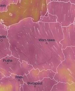 IMGW wydało ostrzeżenie trzeciego stopnia. Nadejdą upały zagrażające życiu