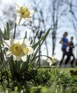 Bardzo ciepły weekend! Wiemy, gdzie będzie nawet +16 st. C