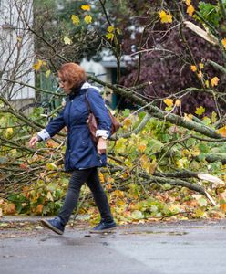 Wichura w łódzkim. Bez prądu pozostaje 53 tys. mieszkańców