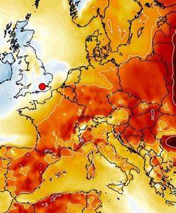 Pogodowe szaleństwo. Prognoza na Wigilię i święta wprawia w zdumienie