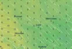 Najpierw mróź, teraz ponad 10 stopni. To już koniec zimy?