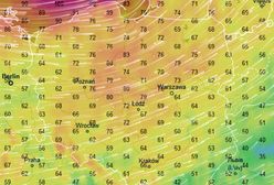 Wracają wichury. Na południu już lecą drzewa