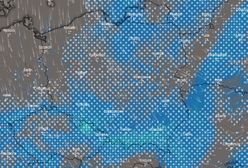 Zima wróciła. Wichura i trudne warunki na drogach