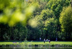 Prognoza pogody. Poniedziałek będzie ładny, ale w nocy zmarzniesz