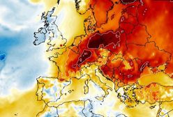 Styczeń, a pogoda wariuje. Idzie spore ocieplenie