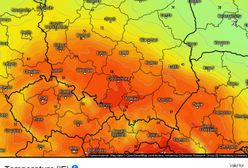 "Nad Polskę wędruje powietrze z Afryki". Będzie nawet 25 st. C