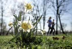 Bardzo ciepły weekend! Wiemy, gdzie będzie nawet +16 st. C